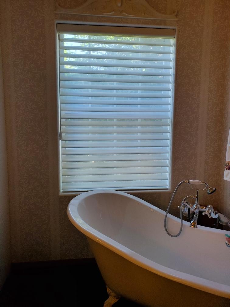 MOTORIZED (WAND) SHADES 